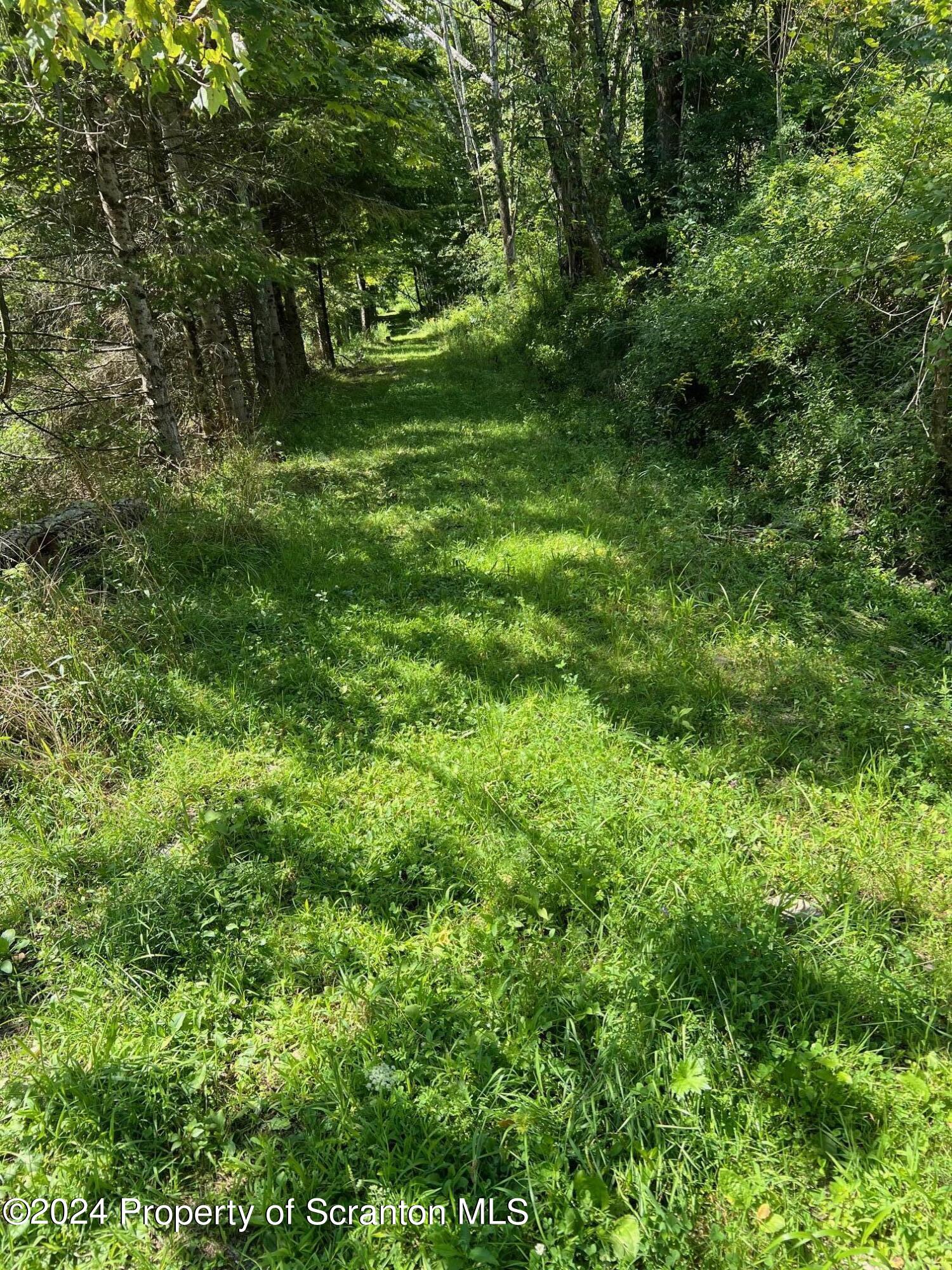 Lot #10 Stearns Lake Road Jackson, PA 18825 - Photo 10 of 12 Gallery Image 10