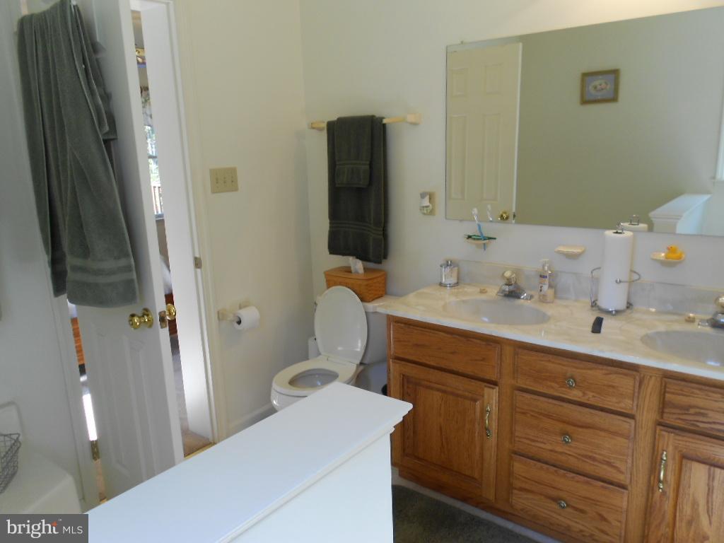 14506 Reva Road Reva, VA 22735 - Photo 15 of 30 Bath (Master)