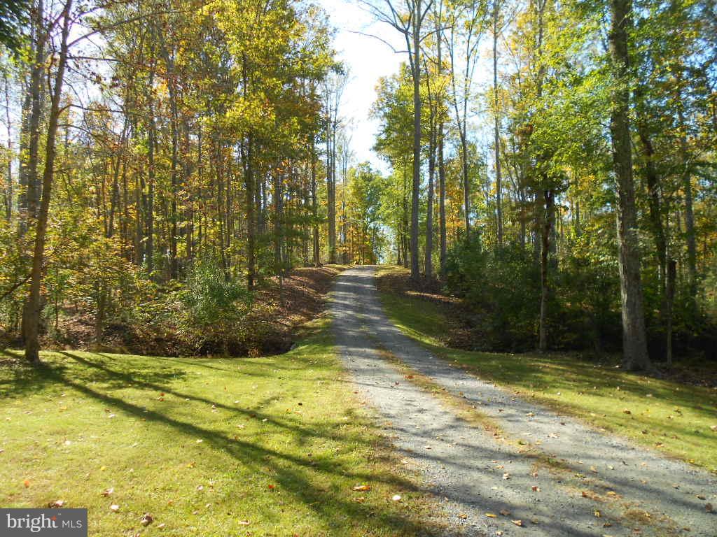 14506 Reva Road Reva, VA 22735 - Photo 20 of 30 View