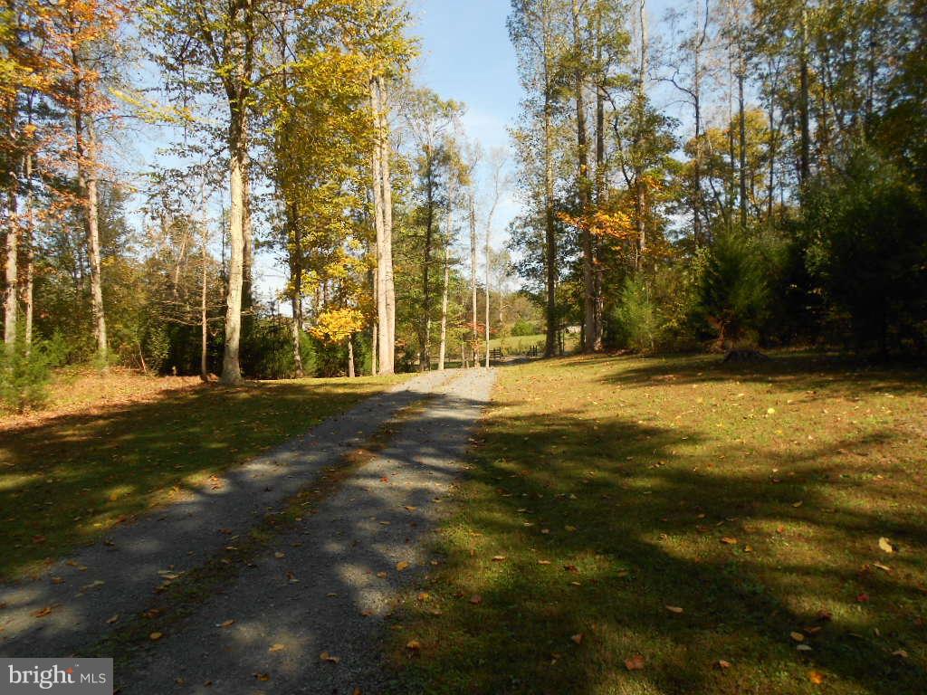 14506 Reva Road Reva, VA 22735 - Photo 21 of 30 View