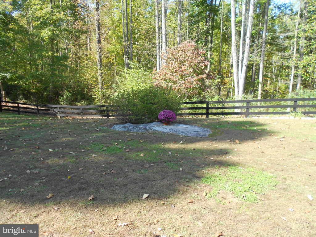 14506 Reva Road Reva, VA 22735 - Photo 23 of 30 View