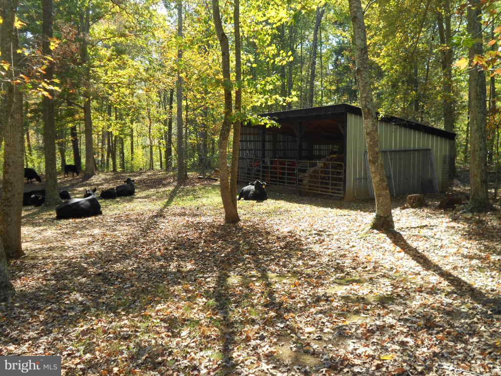14506 Reva Road Reva, VA 22735 - Photo 29 of 30 Exterior (General)