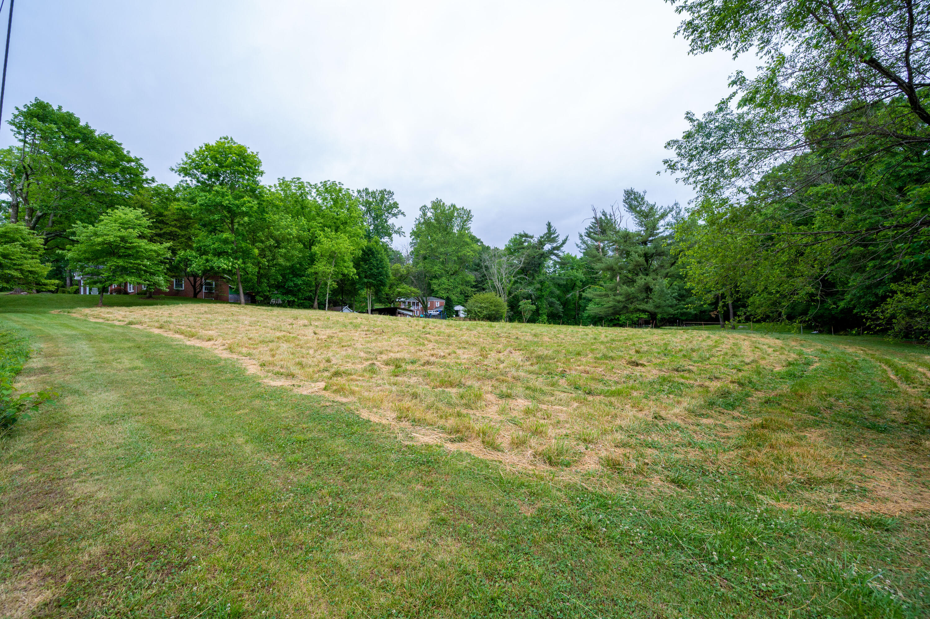 2941 Cliffside Road Kingsport, TN 37664 - Photo 8 of 68 Cliffside-67