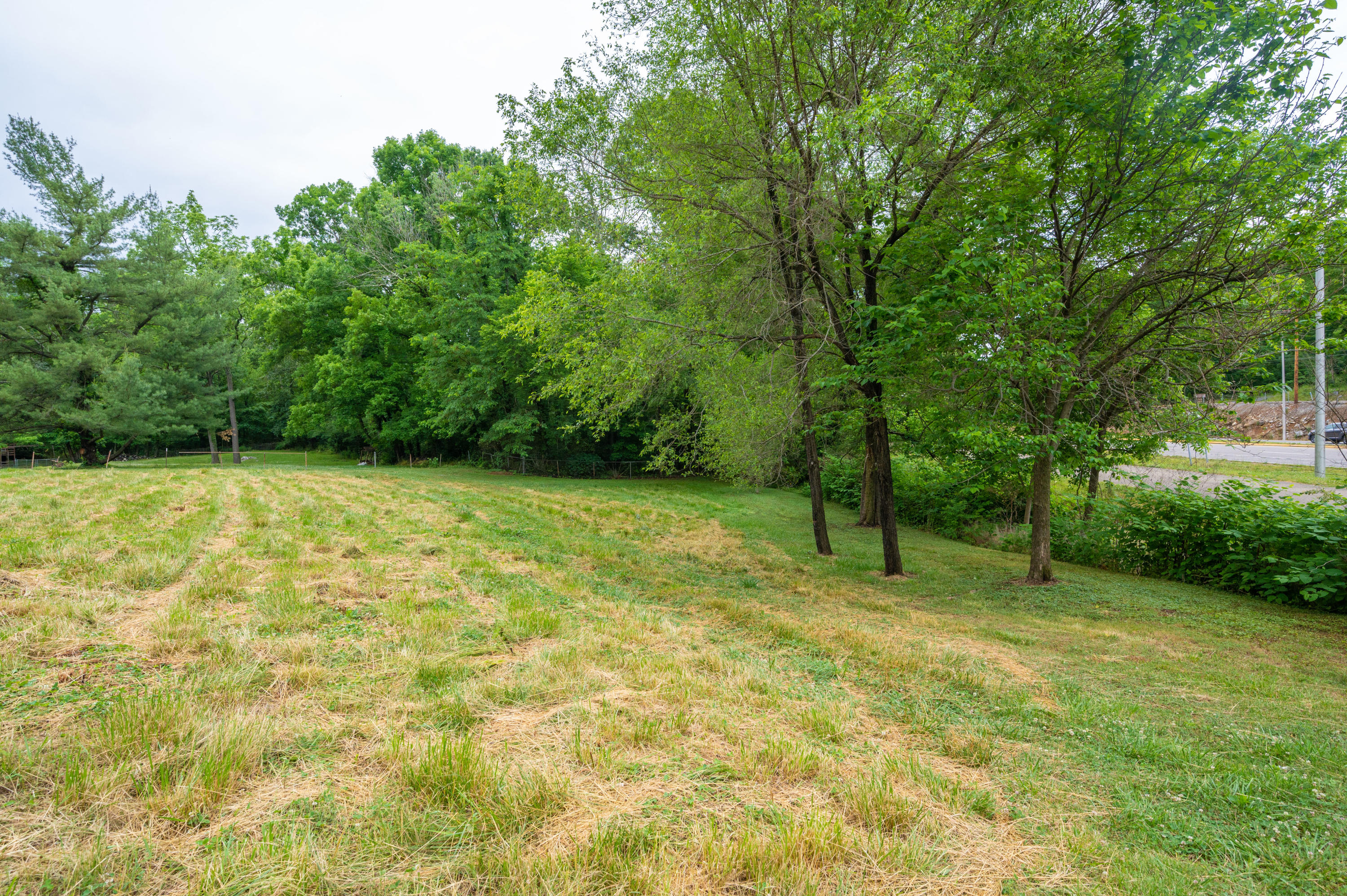 2941 Cliffside Road Kingsport, TN 37664 - Photo 10 of 68 Cliffside-69