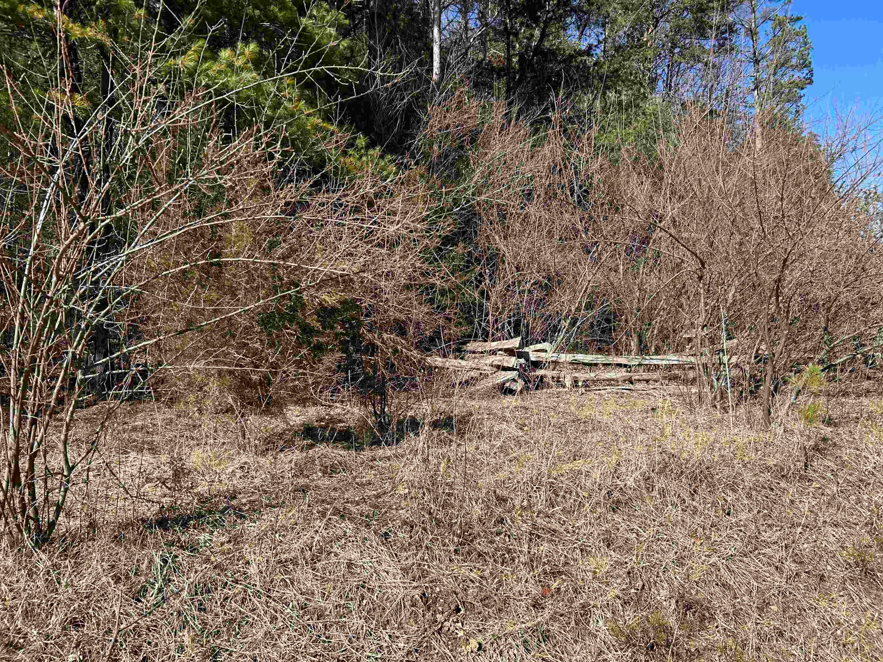 4266 Craig Creek Road Catawba, VA 24070 - Photo 34 of 44 Gallery Image 34
