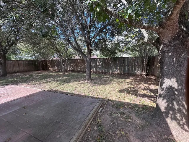 a view of a yard with large trees
