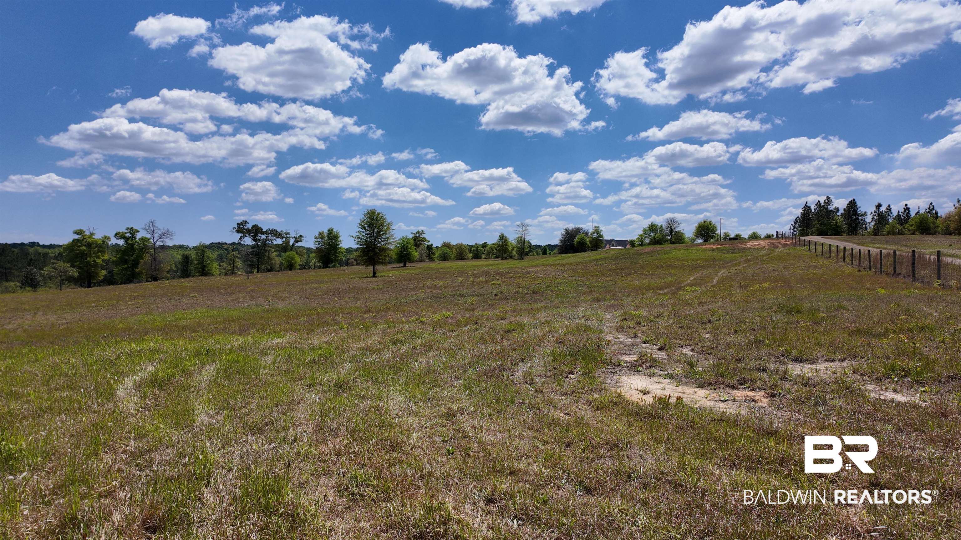 0 Powell Road Eight Mile, AL 36613 - Photo 11 of 57