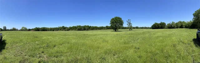 a view of a green field with trees in the background