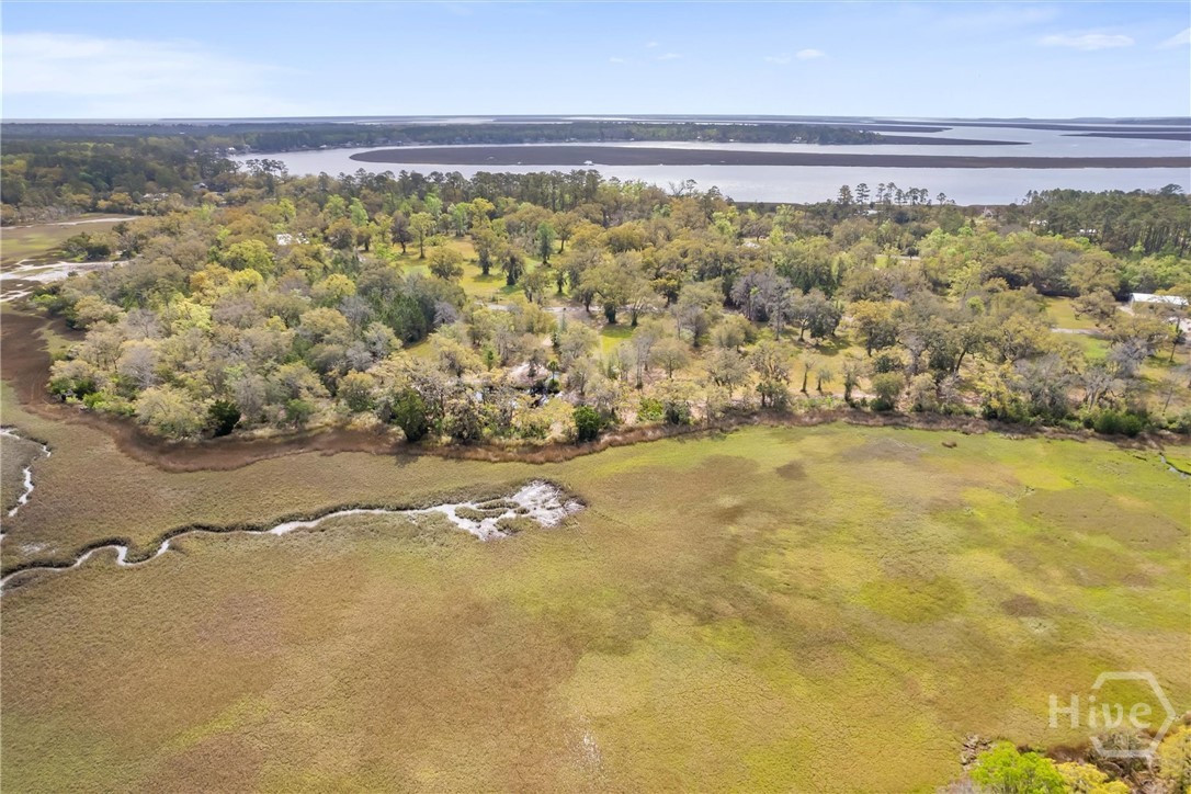 Lot 27 Cattle Hammock Road Midway, GA 31320 - Photo 14 of 30