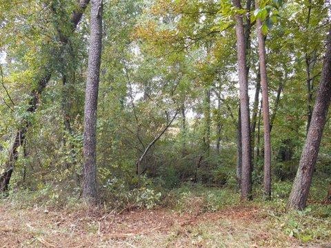 1055 Cty Road Higdon, AL 35979 - Photo 16 of 24