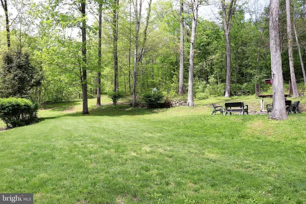 a view of a trees in a yard