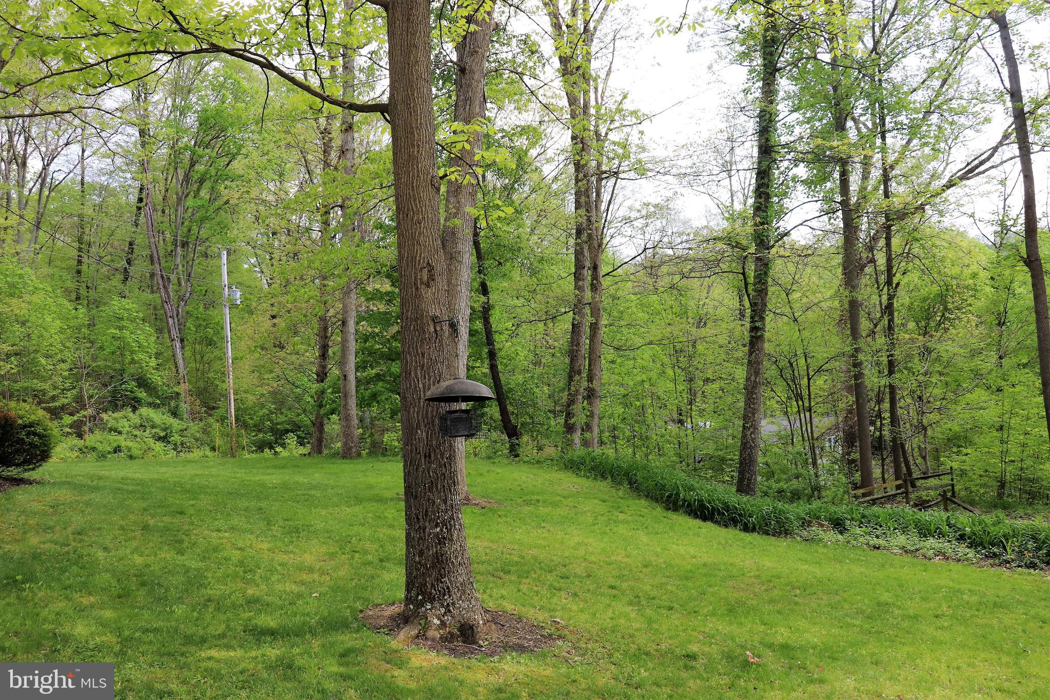 168 Cherry Tree Road Addison, PA 15411 - Photo 40 of 42 a view of a trees in a yard