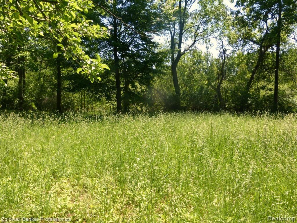 Vacant Clement Road Clarkston, MI 48346 - Photo 4 of 10