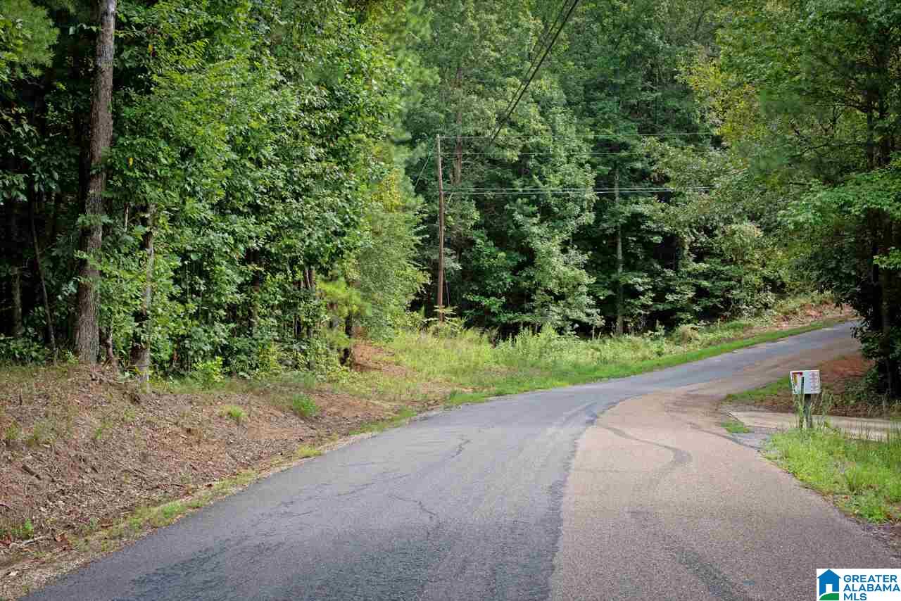 0 Harbor Light Trail, Unit 1 Jasper, AL 35504 - Photo 22 of 22