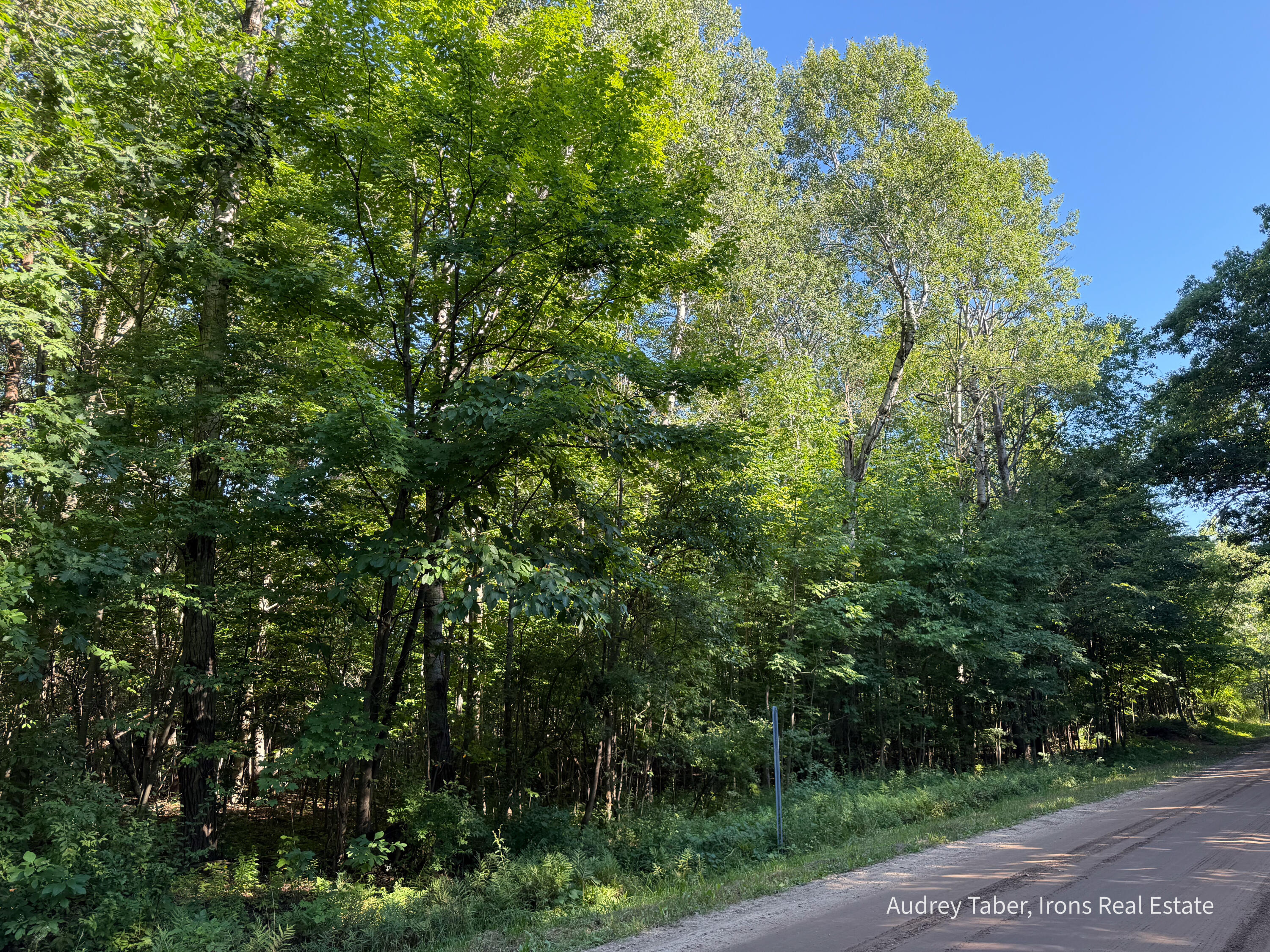 3 Clements Road Kaleva, MI 49645 - Photo 29 of 38 ClementsRd-158