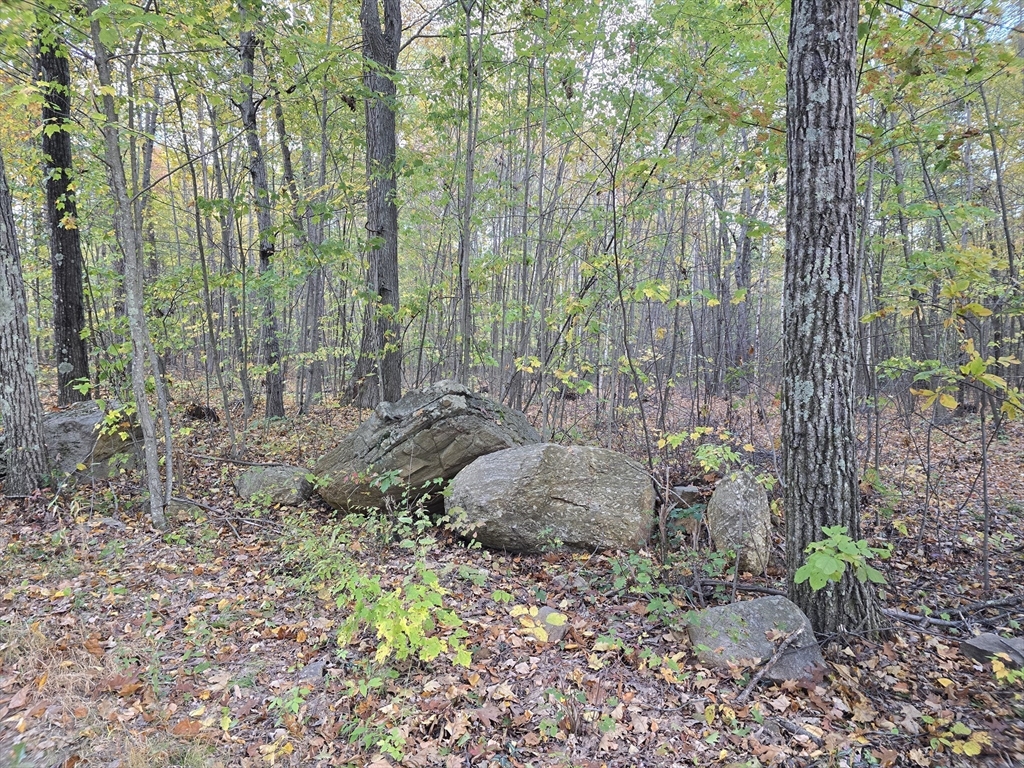 0 Cutler Rd Extension Warren, MA 01083 - Photo 3 of 6 a view of outdoor space and garden
