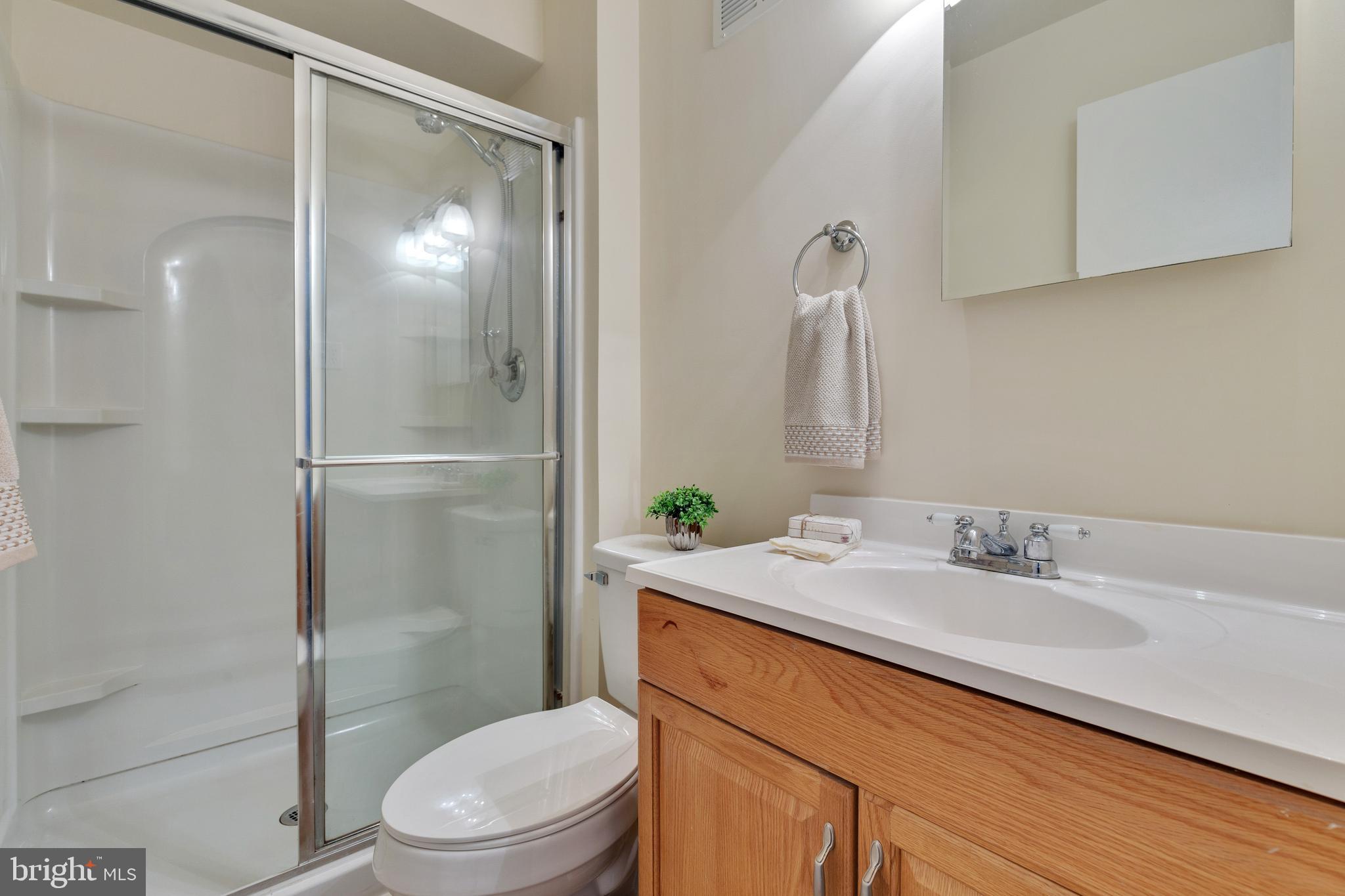 14577 Golden Oak Road Centreville, VA 20121 - Photo 23 of 36 Private bath has walk-in shower + new toilet.