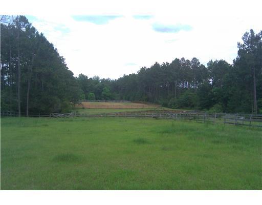 94 Parker Road McHenry, MS 39561 - Photo 7 of 16 Additional Photo