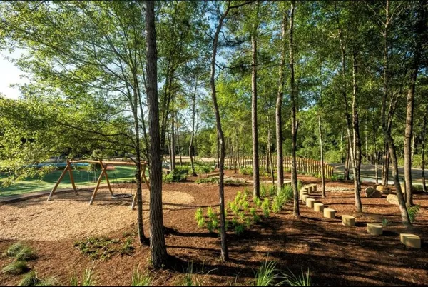 $2,600 | 15835 Bird Of Paradise Drive, Conroe, TX 77302