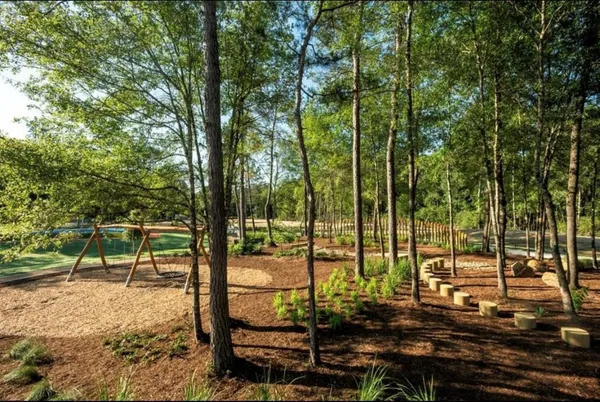 $2,600 | 15835 Bird Of Paradise Drive, Conroe, TX 77302