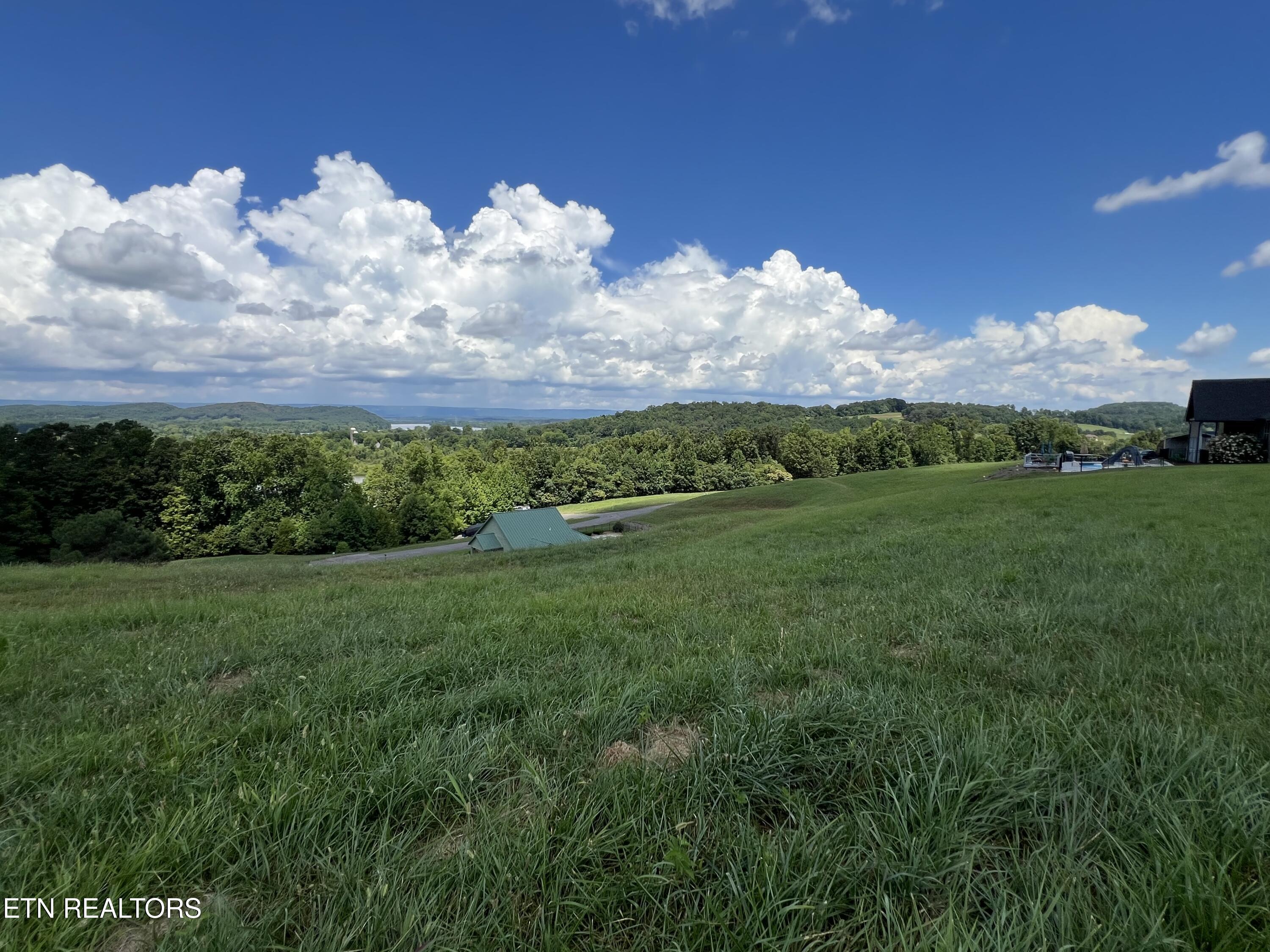 Lot 53 Cottonwood Decatur, TN 37322 - Photo 3 of 9 IMG_7359