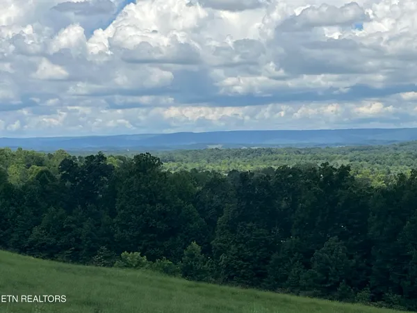 $29,900 | Lot 53 Cottonwood, Decatur, TN 37322