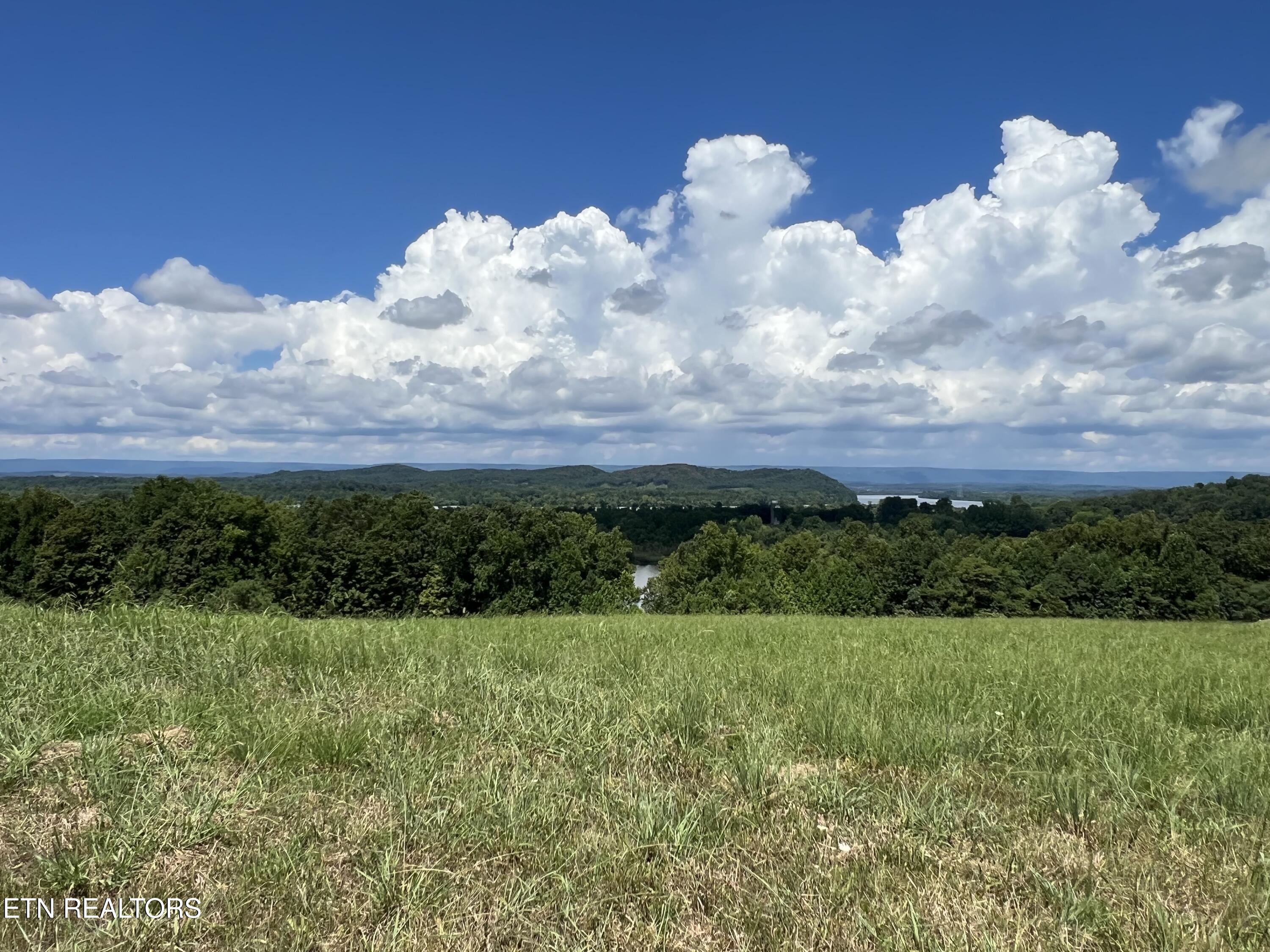 Lot 53 Cottonwood Decatur, TN 37322 - Photo 7 of 9 IMG_7356