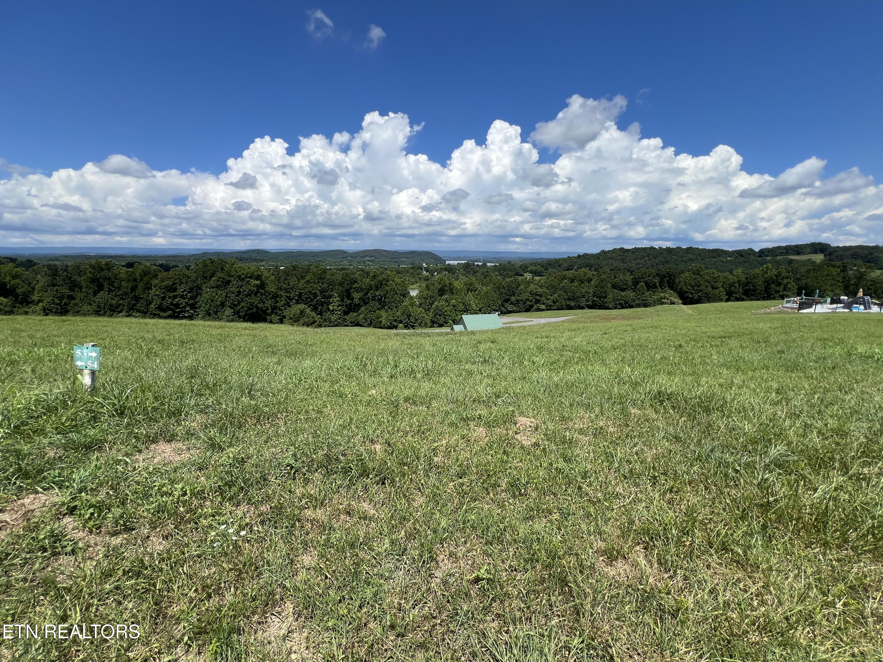 Lot 53 Cottonwood Decatur, TN 37322 - Photo 8 of 9 IMG_7353