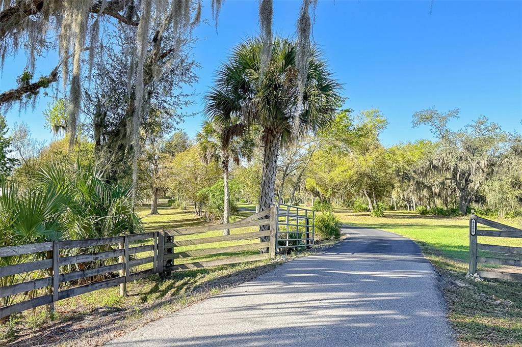 9299 Southwest Lipe Road Arcadia, FL 34269 - Photo 3 of 68 a view of yard with swimming pool and trees