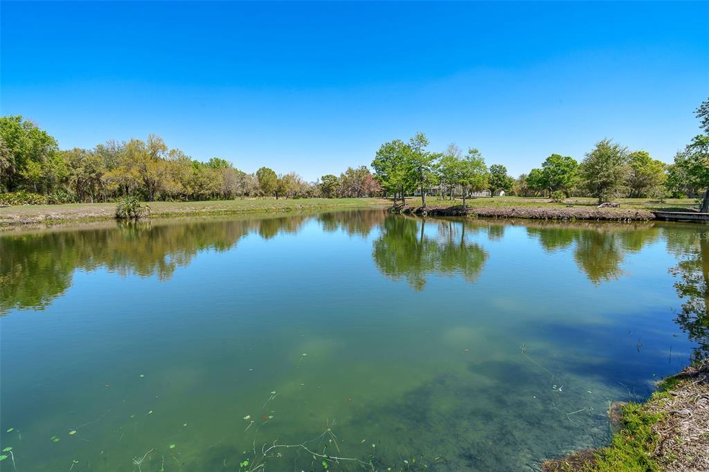 9299 Southwest Lipe Road Arcadia, FL 34269 - Photo 52 of 68 a view of a lake in a forest