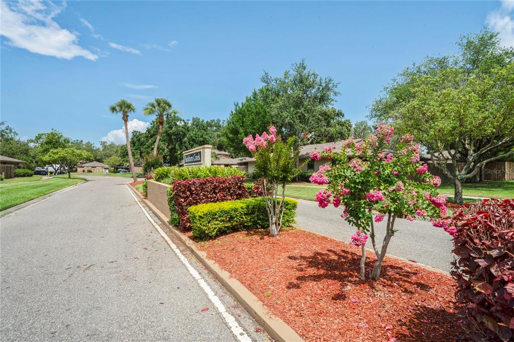 802 Antler Court Brandon, FL 33511 - Photo 37 of 37 a view of a flower in a garden