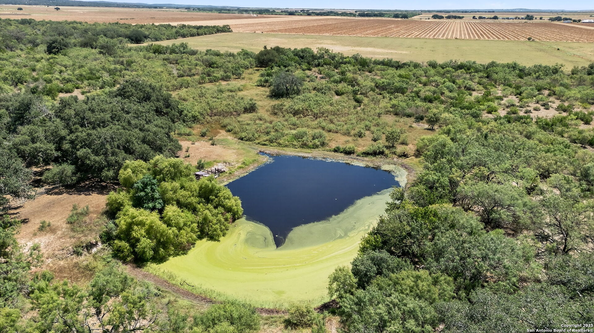 281 County Road 265 Mico, TX 78056 - Photo 20 of 28 a view of a yard with an outdoor space
