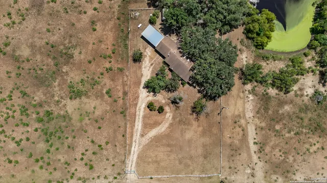 a view of a bathroom with a tree