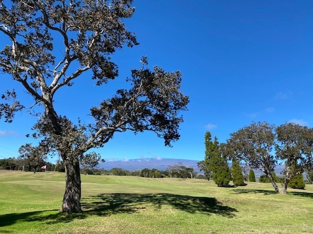 292 Pukeawe Circle Volcano, HI 96785 - Photo 8 of 9 a view of a yard with an outdoor space