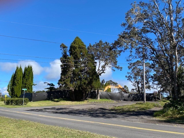 292 Pukeawe Circle Volcano, HI 96785 - Photo 9 of 9 a view of street along with trees