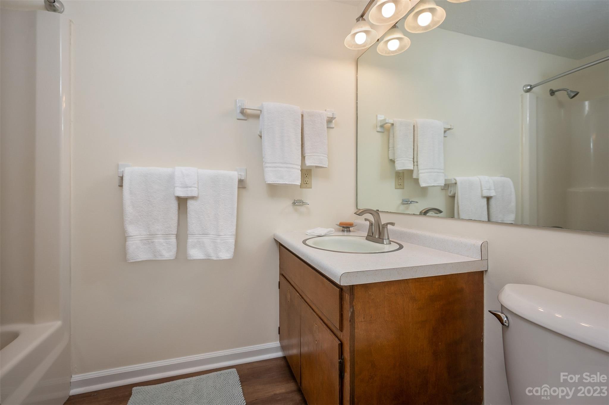 980 Brookside Camp Road Hendersonville, NC 28792 - Photo 19 of 47 a bathroom with a sink a toilet and a mirror