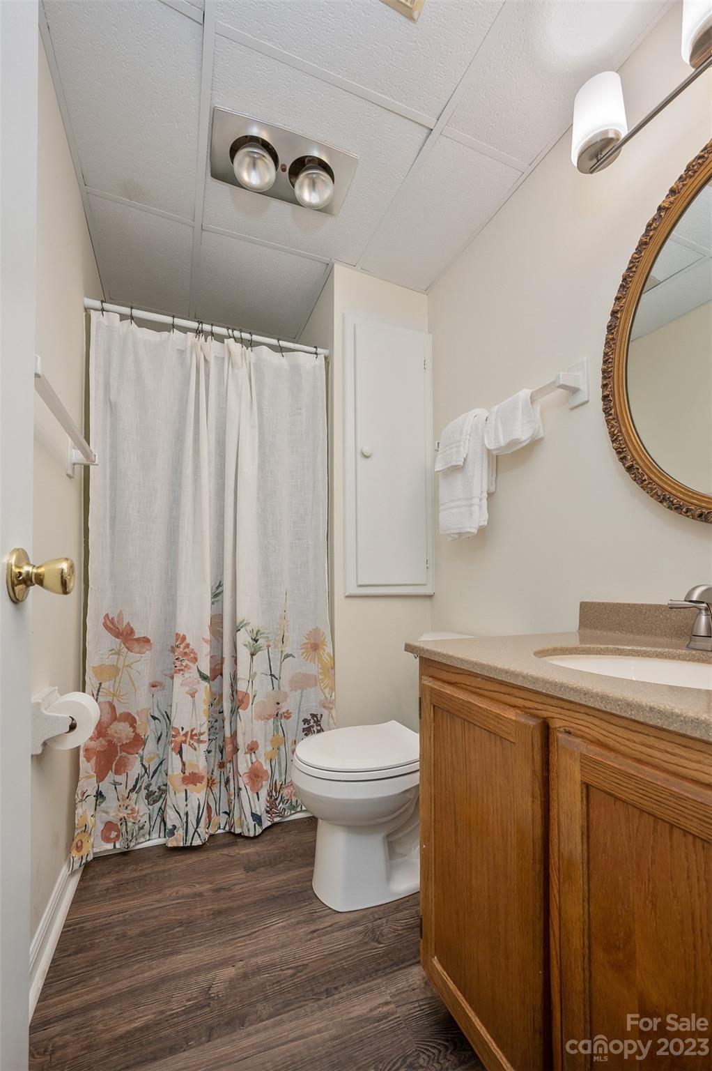 980 Brookside Camp Road Hendersonville, NC 28792 - Photo 32 of 47 a bathroom with a granite countertop sink a toilet and a mirror