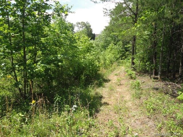 409 Starview Drive Rutherfordton, NC 28139 - Photo 21 of 24 Gallery Image 21