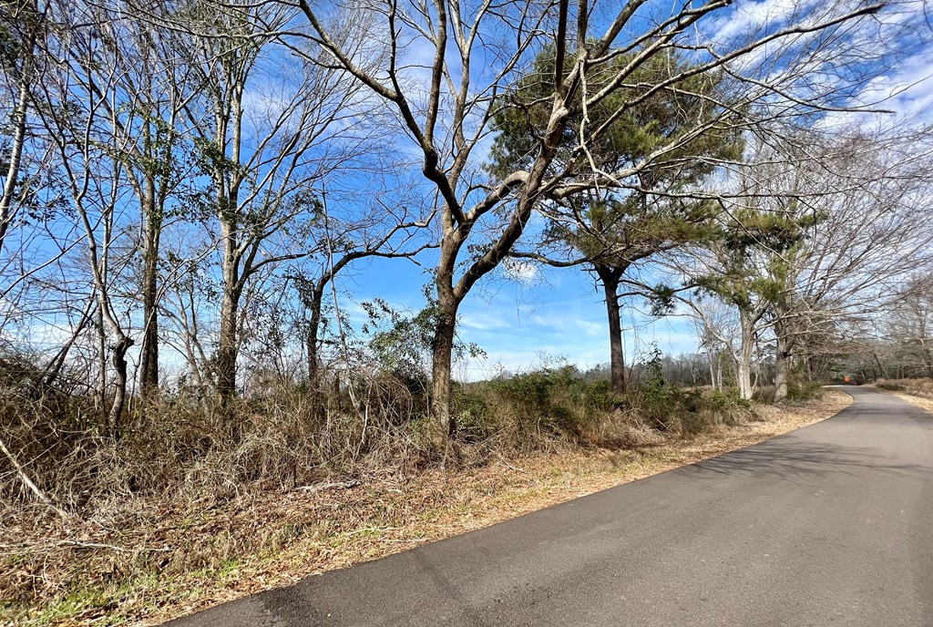Tbd Hawkins Road Harrisville, MS 39082 - Photo 11 of 27 Photo 11