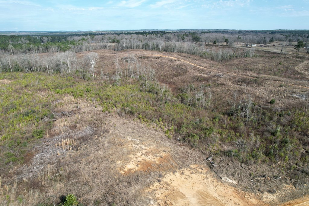 Tbd Hawkins Road Harrisville, MS 39082 - Photo 12 of 27 Photo 12