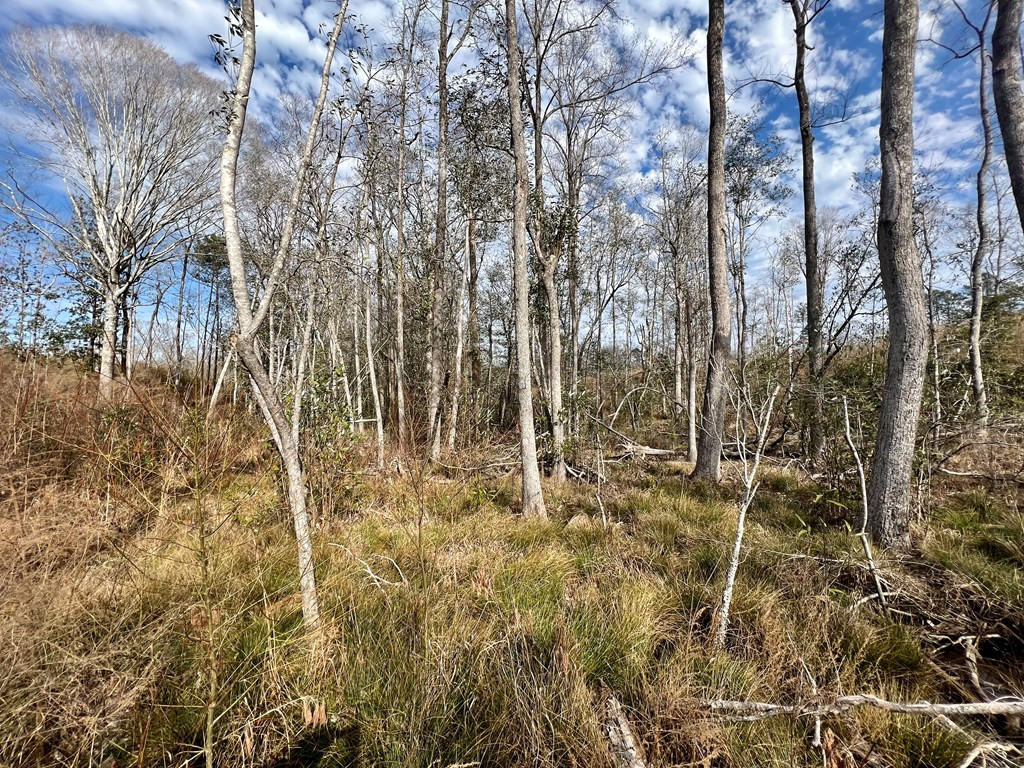 Tbd Hawkins Road Harrisville, MS 39082 - Photo 14 of 27 Photo 14