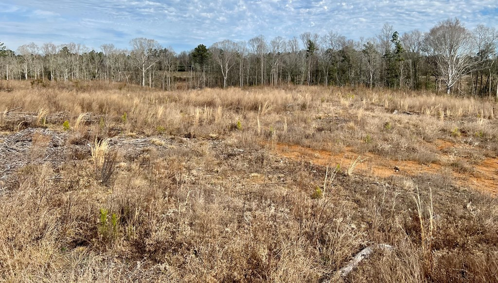 Tbd Hawkins Road Harrisville, MS 39082 - Photo 17 of 27 Photo 17