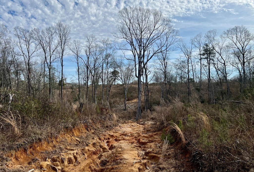 Tbd Hawkins Road Harrisville, MS 39082 - Photo 18 of 27 Photo 18