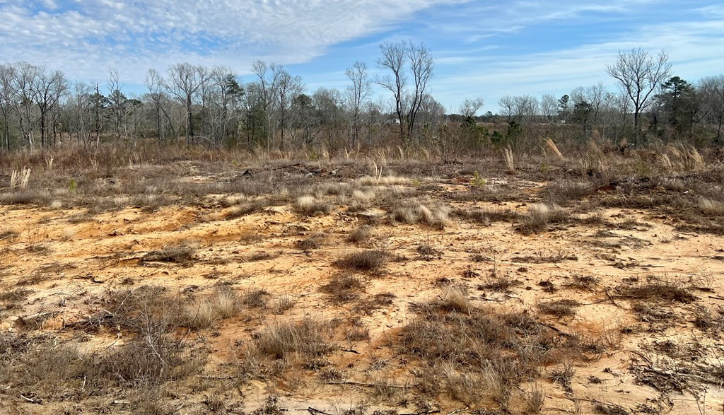 Tbd Hawkins Road Harrisville, MS 39082 - Photo 19 of 27 Photo 19