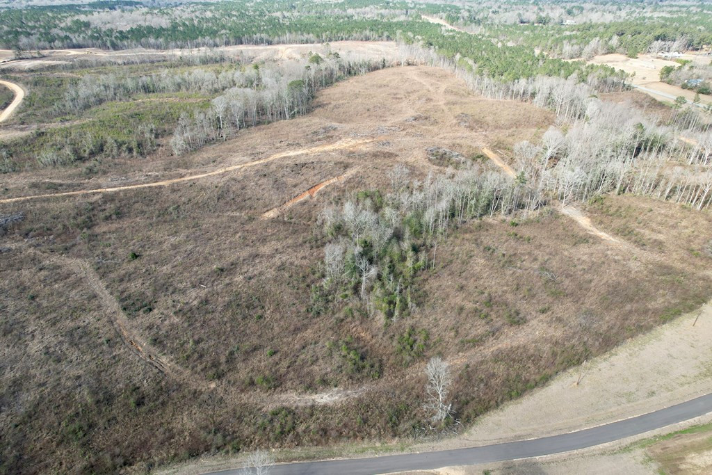 Tbd Hawkins Road Harrisville, MS 39082 - Photo 2 of 27 Photo 2
