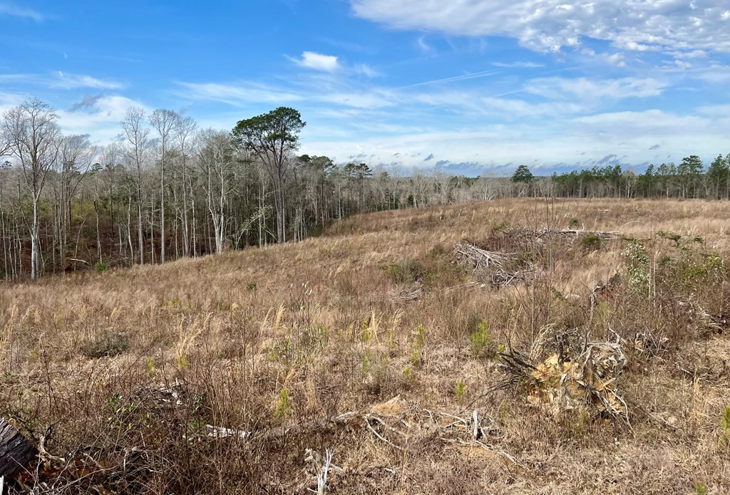 Tbd Hawkins Road Harrisville, MS 39082 - Photo 21 of 27 Photo 21