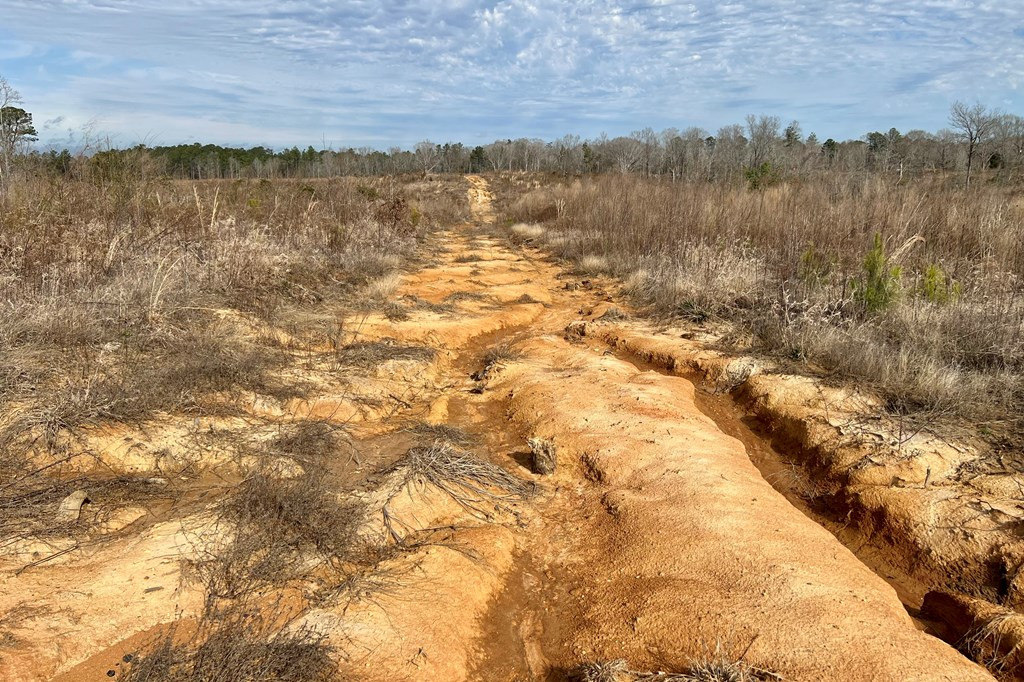 Tbd Hawkins Road Harrisville, MS 39082 - Photo 22 of 27 Photo 22