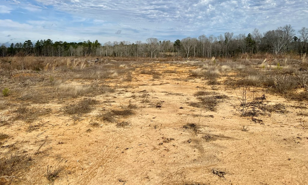 Tbd Hawkins Road Harrisville, MS 39082 - Photo 24 of 27 Photo 24