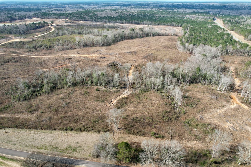 Tbd Hawkins Road Harrisville, MS 39082 - Photo 3 of 27 Photo 3
