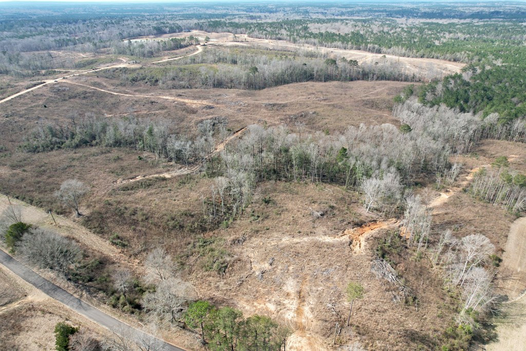 Tbd Hawkins Road Harrisville, MS 39082 - Photo 4 of 27 Photo 4